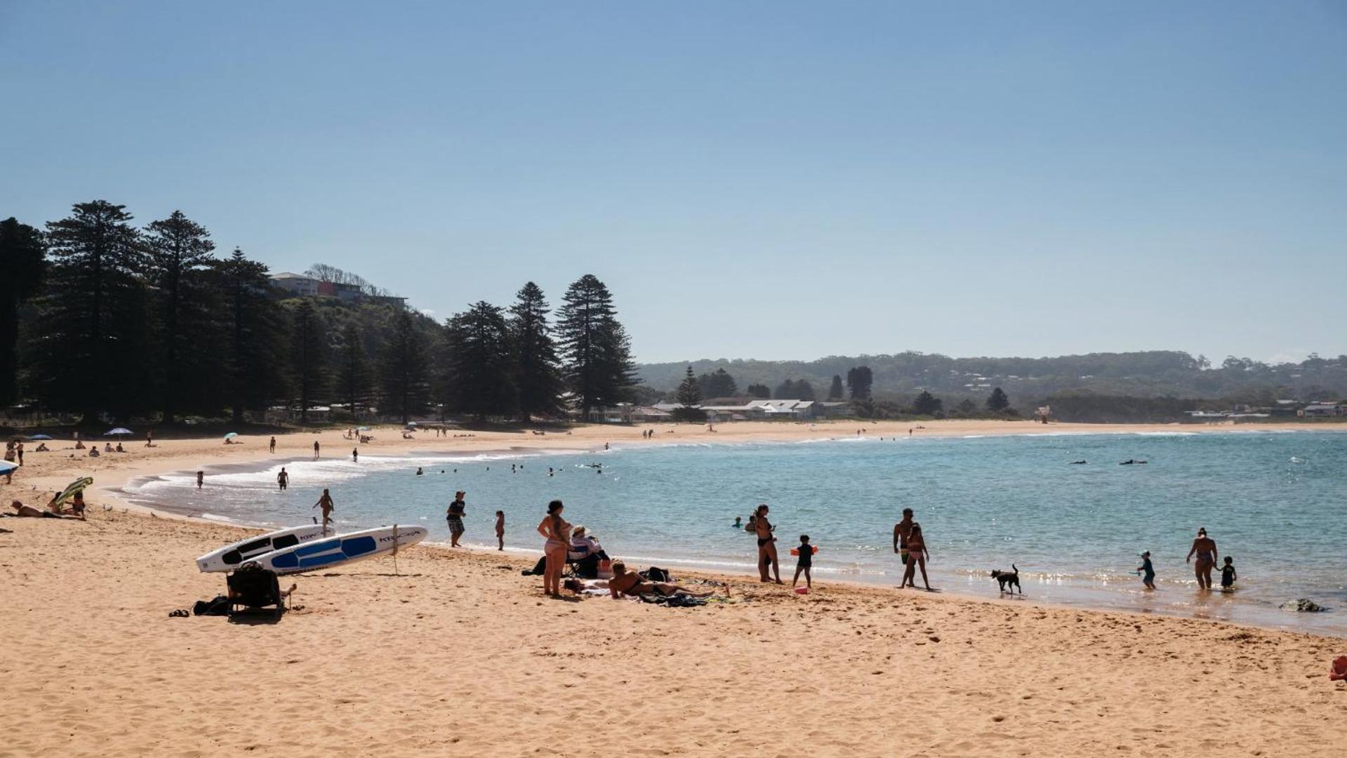 Resort Style Living With Pool, Tennis Court And Beach Avoca Beach Exterior photo